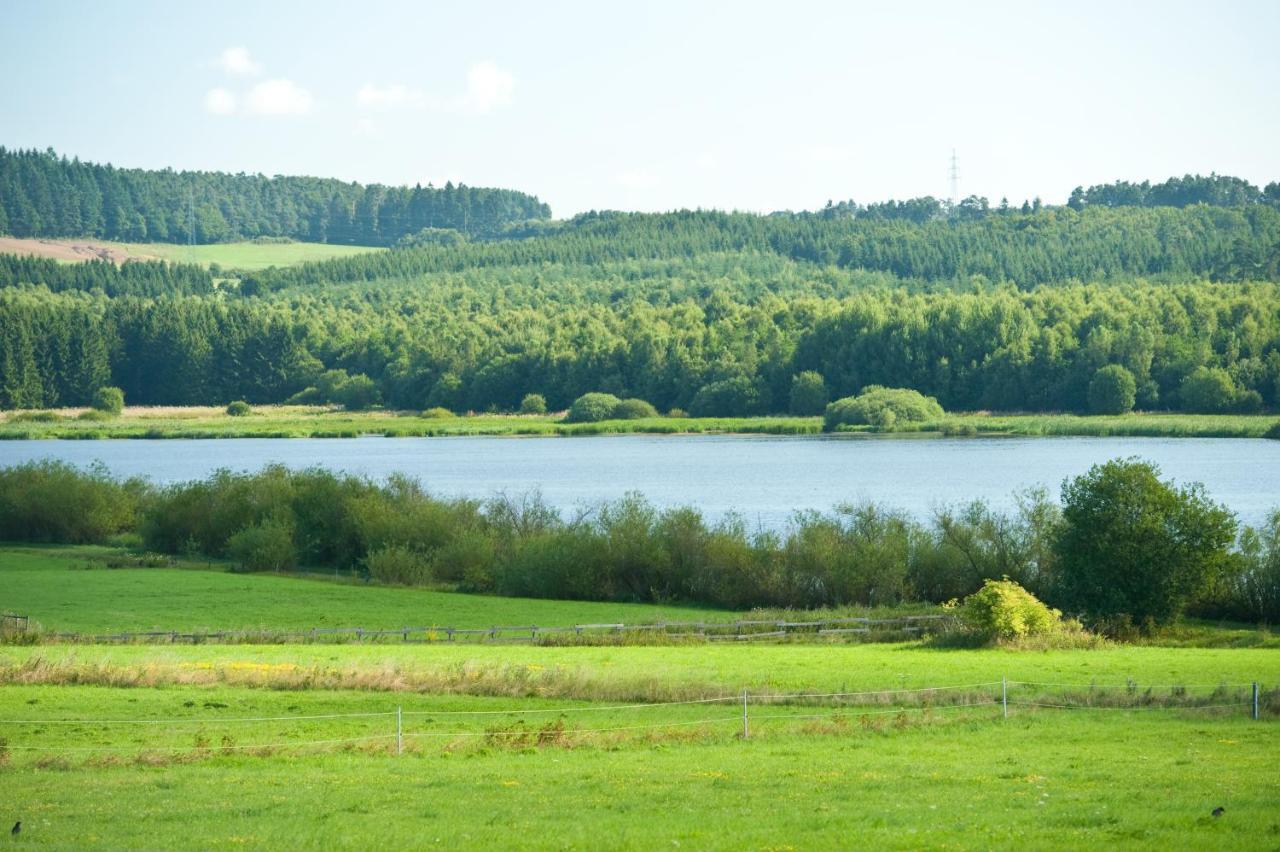 Ferienhaus Am Sauerbrunnen Daun Zewnętrze zdjęcie
