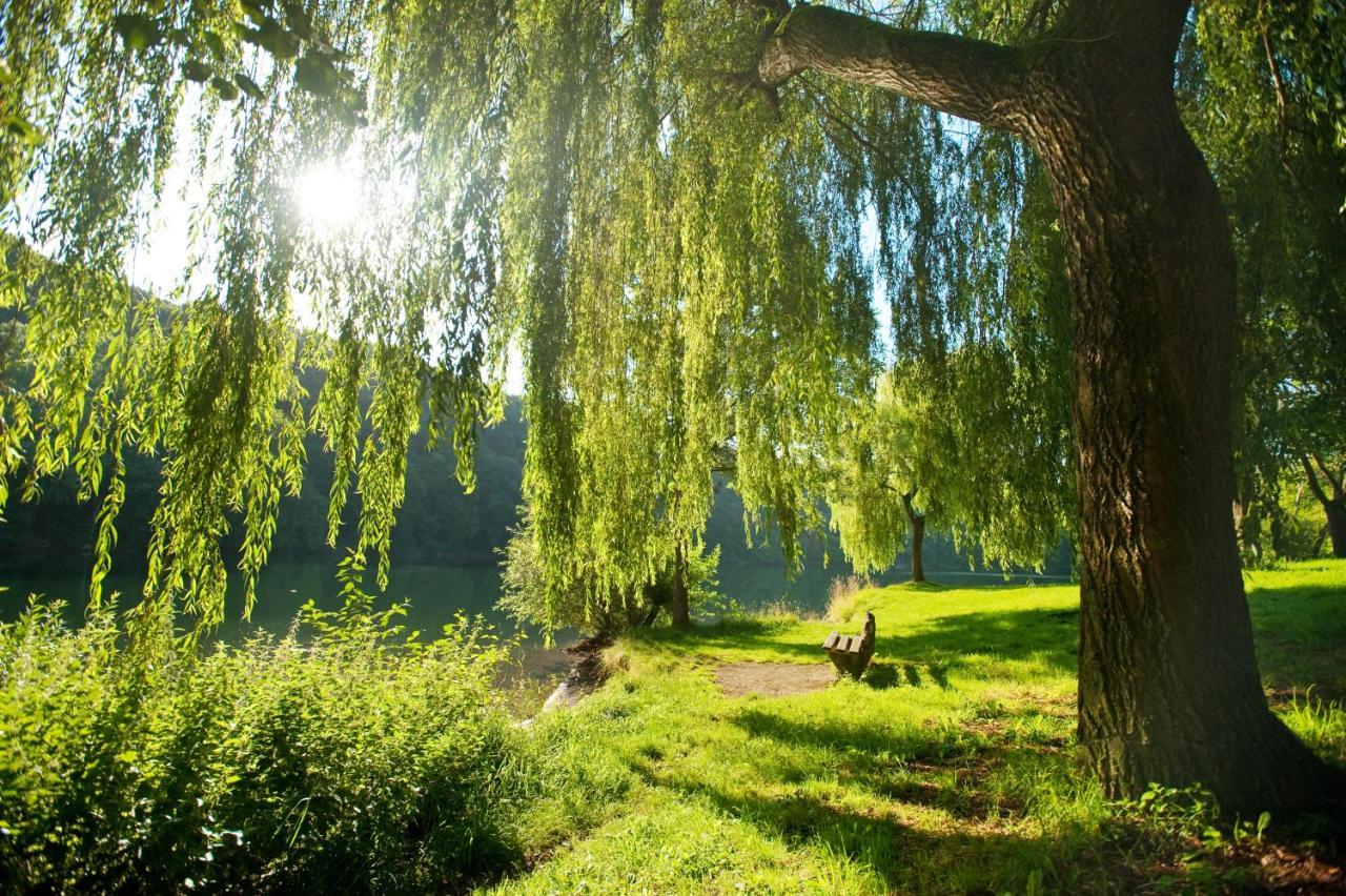 Ferienhaus Am Sauerbrunnen Daun Zewnętrze zdjęcie