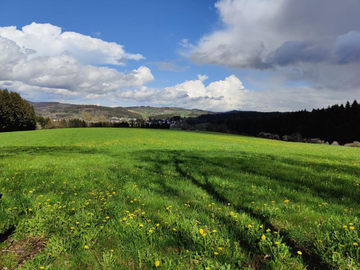 Ferienhaus Am Sauerbrunnen Daun Zewnętrze zdjęcie