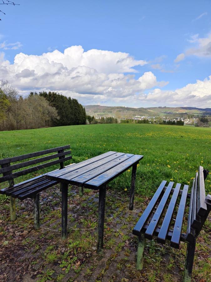 Ferienhaus Am Sauerbrunnen Daun Zewnętrze zdjęcie